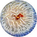 Jeffrey Bieber profile picture